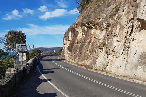 2 Day Great Ocean Road Tour And Platypus Paddle - Accommodation Newcastle 20