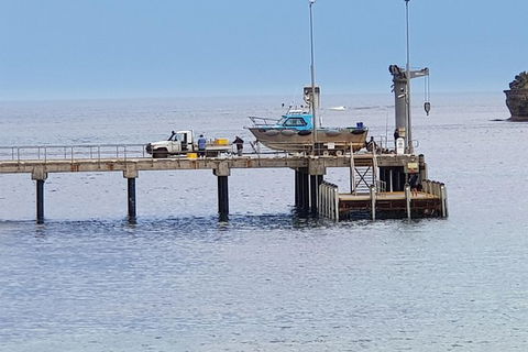 2 Day Great Ocean Road Tour And Platypus Paddle - Accommodation Newcastle 5