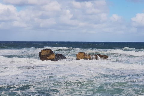 2 Day Great Ocean Road Tour And Platypus Paddle - Accommodation Newcastle 8