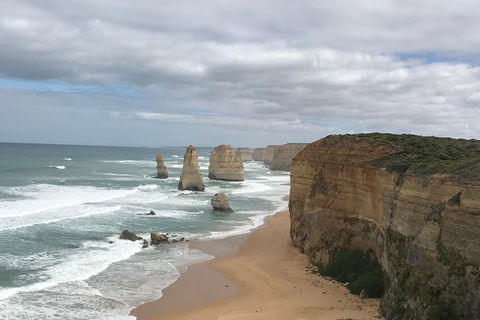 Private Express Great Ocean Road...with An Optional Helicopter Ride -- - Accommodation Newcastle 0