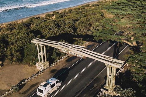Private Express Great Ocean Road...with An Optional Helicopter Ride -- - Accommodation Newcastle 4