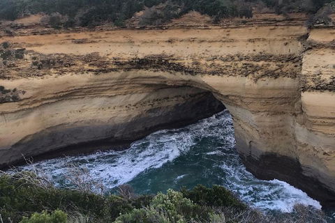 Private Express Great Ocean Road...with An Optional Helicopter Ride -- - Accommodation Newcastle 8