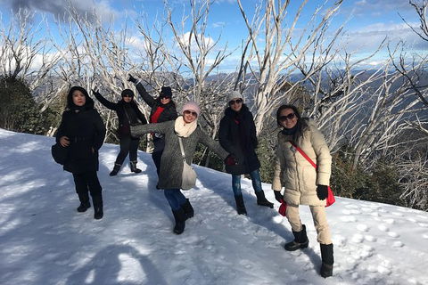 Mount Buller Snow Day Trip - Accommodation Newcastle 1