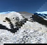 Mount Buller Snow Day Trip - Accommodation Newcastle
