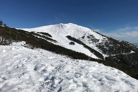 Mount Buller Snow Day Trip - Accommodation Newcastle 2