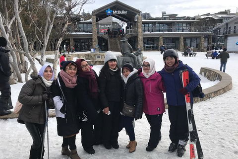 Mount Buller Snow Day Trip - Accommodation Newcastle 6