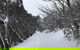 Mount Buller Snow Day Trip - thumb 4