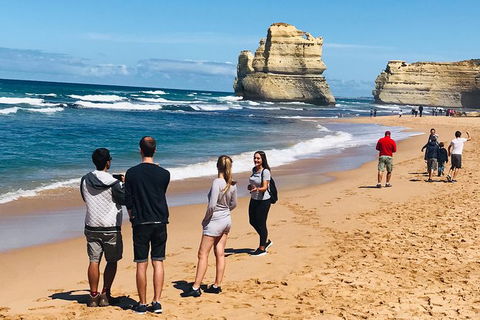 12 Apostles And Shipwreck Coast Express Private Tour - Accommodation Newcastle 9