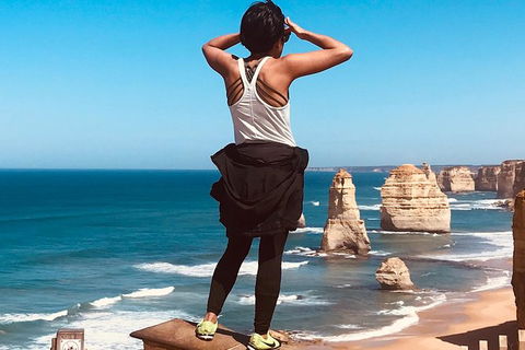 12 Apostles And Shipwreck Coast Express Private Tour - Accommodation Newcastle 7