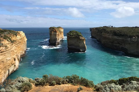 12 Apostles And Shipwreck Coast Express Private Tour - Accommodation Newcastle 6