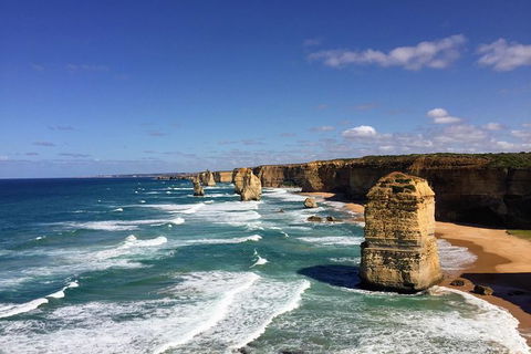 12 Apostles And Shipwreck Coast Express Private Tour - Accommodation Newcastle 2