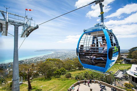 Around The Bay Food And Wine Taste Trail - Accommodation Newcastle 1