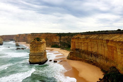 Ultimate Reverse Direction - 12 Apostles, Great Ocean Road - Small Group Tour - Accommodation Newcastle 1