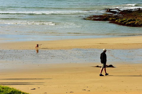 Ultimate Reverse Direction - 12 Apostles, Great Ocean Road - Small Group Tour - Accommodation Newcastle 6