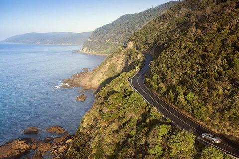 Ultimate Reverse Direction - 12 Apostles, Great Ocean Road - Small Group Tour - Accommodation Newcastle 10