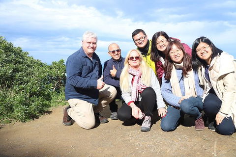 Ultimate Reverse Direction - 12 Apostles, Great Ocean Road - Small Group Tour - Accommodation Newcastle 11
