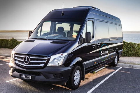Ultimate Reverse Direction - 12 Apostles, Great Ocean Road - Small Group Tour - Accommodation Newcastle 4