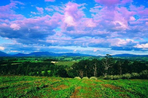 CHEVY CONVERTIBLE Package For 4 -Wine Lunch Cheese & Chocolate From Yarra Valley - Accommodation Newcastle 7