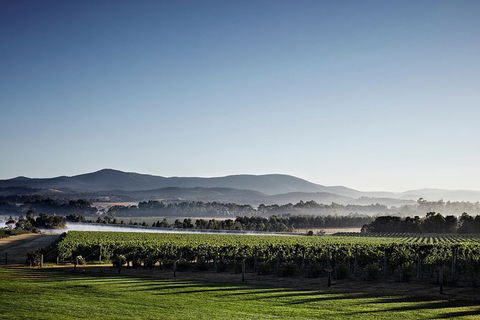 Chauffeur Driven Yarra Valley Group Wine Tour - Up To 7 - Accommodation Newcastle 8