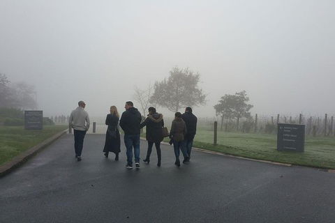 Chauffeur Driven Yarra Valley Group Wine Tour - Up To 7 - Accommodation Newcastle 7