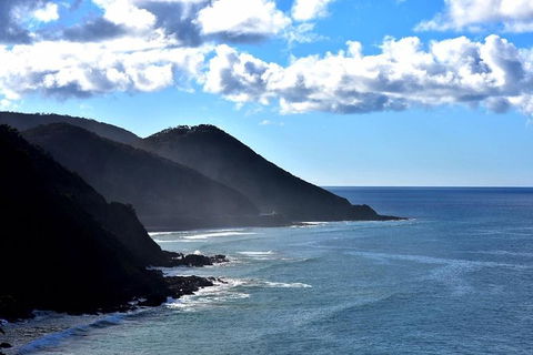 Melbourne's Premier Small-group Great Ocean Road & 12 Apostles Day Tour. - Accommodation Newcastle 0