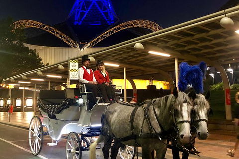 Melbourne Horse Drawn Carriages Deluxe 45 Minute Garden Tour - Accommodation Newcastle 0