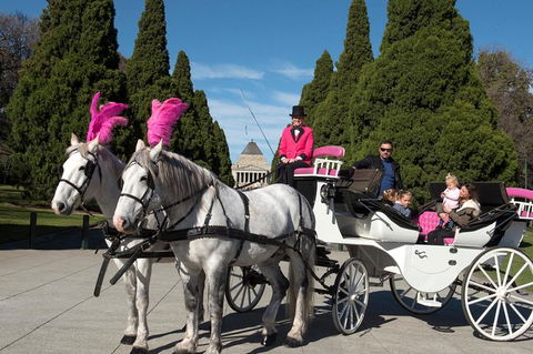 Melbourne Horse Drawn Carriages Deluxe 45 Minute Garden Tour - Accommodation Newcastle 1