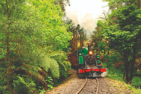 Half Day Puffing Billy Train Journey From Melbourne - Accommodation Newcastle 2