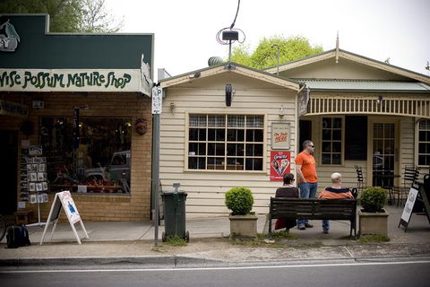 Half Day Puffing Billy Train Journey From Melbourne - Accommodation Newcastle 10