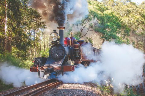 Half Day Puffing Billy Train Journey From Melbourne - Accommodation Newcastle 4