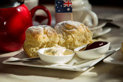 Half Day Puffing Billy Train Journey From Melbourne - Accommodation Newcastle 5