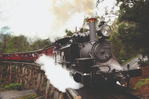 Half Day Puffing Billy Train Journey From Melbourne - Accommodation Newcastle 3
