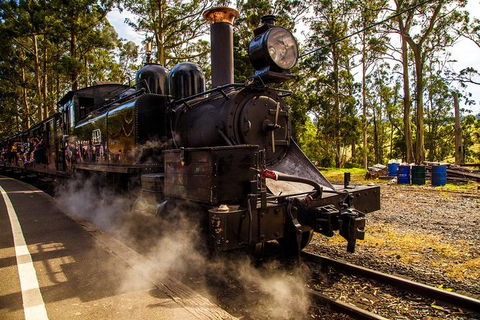 Half Day Puffing Billy Train Journey From Melbourne - Accommodation Newcastle 6