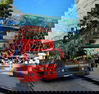 City Sightseeing Melbourne 24 Hour Bus with Eureka Skydeck Entry - Accommodation Newcastle