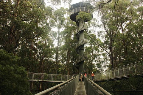 Private Overnight Camping Trip From Melbourne (price Is Per Group) - Accommodation Newcastle 10