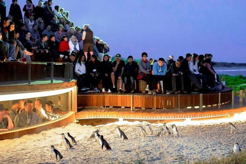 Private Overnight Camping Trip From Melbourne (price Is Per Group) - Accommodation Newcastle 11