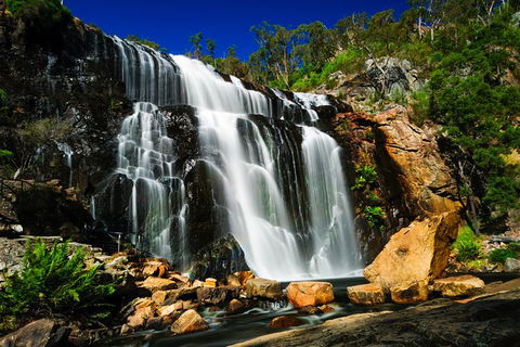 Private Overnight Camping Trip From Melbourne (price Is Per Group) - Accommodation Newcastle 7