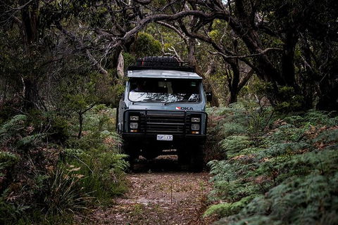 Phillip Island And French Island Wildlife Expedition - Accommodation Newcastle 6