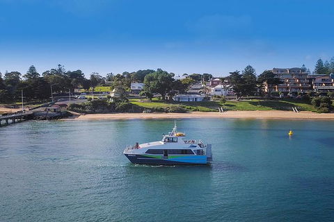 Phillip Island And French Island Wildlife Expedition - Accommodation Newcastle 3