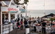 Phillip Island And French Island Wildlife Expedition - thumb 7