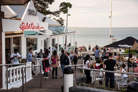 Phillip Island And French Island Wildlife Expedition - Accommodation Newcastle 7