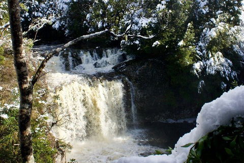 Cradle Mountain Day Tour From Launceston Including Lunch - Accommodation Newcastle 9