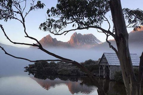 Cradle Mountain Day Tour From Launceston Including Lunch - Accommodation Newcastle 7