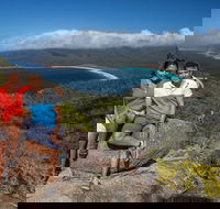 Full-Day Tour One-Way from Launceston to Hobart with Freycinet National Park - Accommodation Newcastle