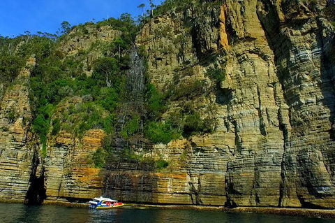 3-Hour Tasman Peninsula Wilderness Cruise From Port Arthur - Accommodation Newcastle 7