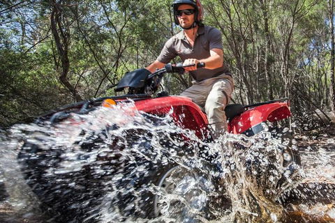 Half-Day Guided ATV Exploration Tour From Coles Bay - Accommodation Newcastle 5