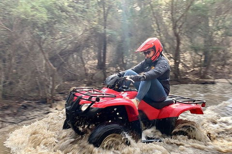Half-Day Guided ATV Exploration Tour From Coles Bay - Accommodation Newcastle 7