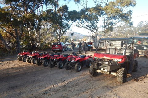 Half-Day Guided ATV Exploration Tour From Coles Bay - Accommodation Newcastle 4