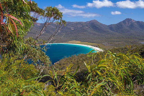 4x4 And Lunch Full Day Freycinet And Wineglass Bay - Accommodation Newcastle 1