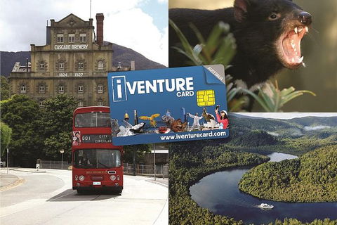 Tasmania Sightseeing Pass: Flexi 3 Pass - Accommodation Newcastle 0